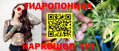 мяу мяу мука Малгобек