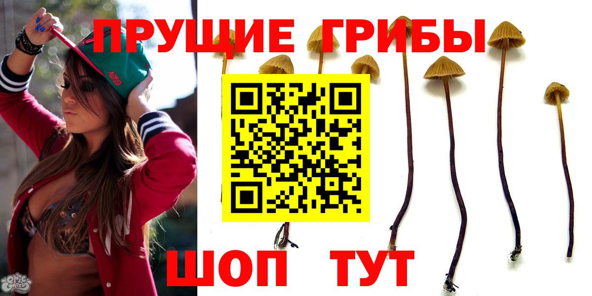 Галлюциногенные грибы мицелий Урюпинск